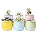 Mkono 3.5-Inch Ceramic Succulent Plant Pots Small Cactus Planter Modern Flower Pots, Set of 6 in Different Color