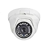 IP POE Security Camera Outdoor Indoor,KINGKONG SMART 1080P Video Surveillance Camera, Dome IP Cam with Audio,IR Night Vision,Motion Detection,IP66 Weatherproof,Support Onvif