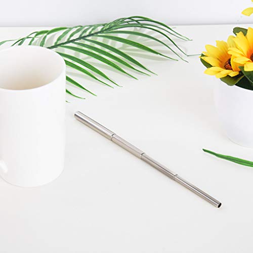 Yliquor Portable Stainless Steel Telescopic Drinking Straw Travel Straw Reusable Straw Stylish Simplicity (2 Pcs)