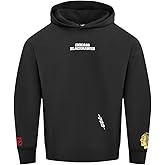 Pro Standard NHL mens Mens Nhl Wingspan Fleece Pull Over Hoodie