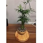 Creative Magnetic Levitating Air Bonsai Pot
