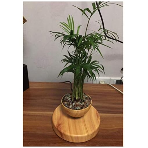 Creative Magnetic Levitating Air Bonsai Pot