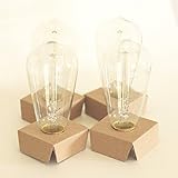 Edison Bulb Pack of 4 by Fraser - ST58 Vintage Style Clear Bulbs - Dimmable