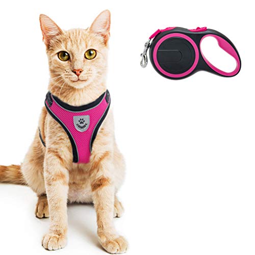 PUPTECK Cat Harness and Retractable Leash Set Escape Proof Reflective