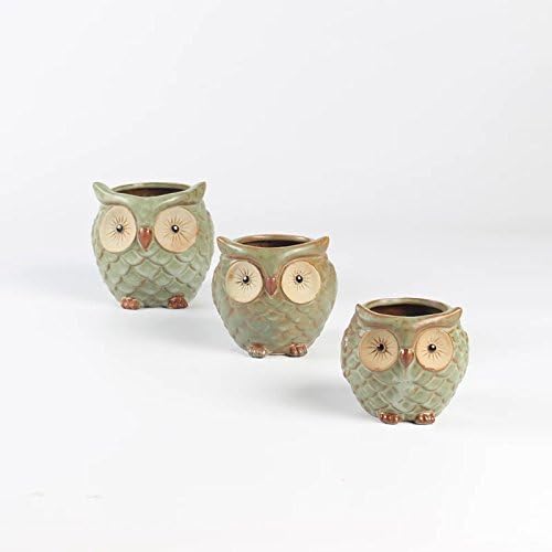 SweetLifeIdea Ceramic Owl Shaped Flower Planter Succulent Plant Pot (3pcs Set)