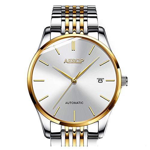 Aesop Fashion Men Date Analog Automatic Self Winding Mechanical