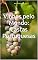Livro Vinhos pelo Mundo: Castas Portuguesas