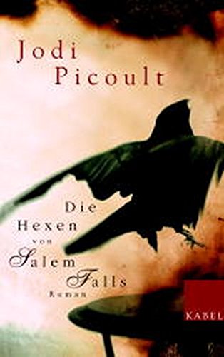 Die Hexen Von Salem Falls Roman Amazon De Picoult Jodi Wasel Ulrike Timmermann Klaus Bucher