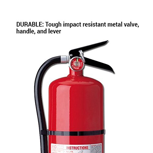 Kidde 466204 Pro 10 MultiPurpose Fire Extinguisher, UL Rated 4A, 60B