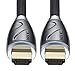 Minc 4K HDR HDMI Cable 9 Feet, HDMI 2.0 18Gbps, Supports 4K 60Hz(4:4:4, HDR10, HDCP 2.2) 1440p 144Hz and ARC, High Speed Ultra HD Cord