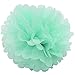 Sopeace Pack of 15 8/10inch Tissue Paper Pom Pom Flowers and Paper Lanterns Wedding Birthday Party Decoration,Pink Mint Green Gold Color