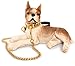 18k Big Gold Dog Necklace,Large Medium Dogs Boys Girls, Personalized 19mm Wide 16-26Inches Oversized Thick Cuban Link Dog Collar