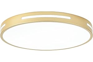 Wheatronic Gold Ceiling Light Flush Mount LED, 36W 15 inch Kitchen Light Fixture Ceiling Mount Dimmable,Modern Close to Ceiling Light Fixture 5CCT for Bedroom, Bathroom,Living Room