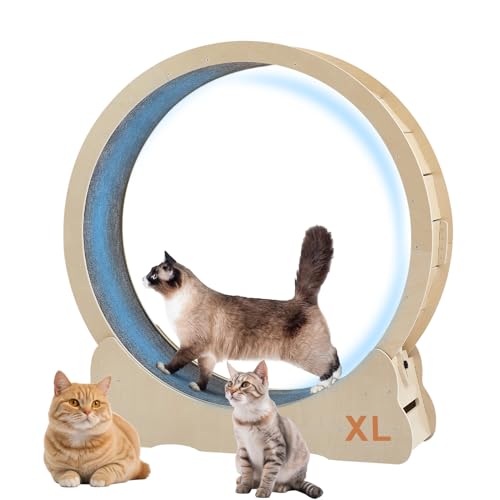 Cat Exercise Wheel for Indoor Cats Treadmill, Cat Running Wheel with Carpeted R…