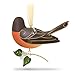 Hallmark Keepsake Christmas Ornament 2018 Year Dated, Beauty of Birds Robin