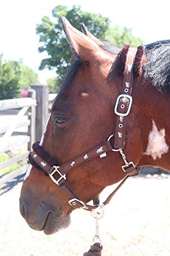Equipride Horse Print Faux Lined Nylon Headcollars with Matching Lead Rope Browm (Shetland)