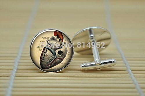 Pretty Lee Anatomical Heart Jewelry Cufflinks Anatomy Cufflinks In Silver Glass Cabochon Cuff Links C0305