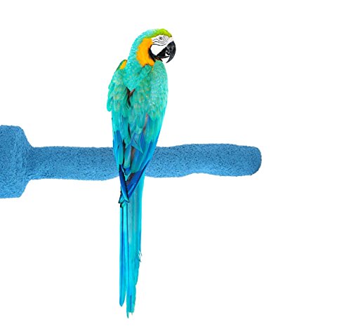 Sweet Feet and Beak Thermal-Lite Natural Patented Perch, Large – Purple- Perfect for Keeping your Bird's Feet and Beaks Healthy