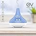 Earth Vibes Aromatherapy Essential Oil Diffuser 300ml - Premium Ultrasonic Aroma Humidifier Bacteria Cleaner - Auto Shut-Off & 7 Color LED Lights - BPA Free - Office Home Bedroom Living Room Study
