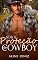 Livro Sob a Proteção do Cowboy