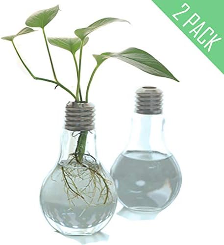Plant Terrarium Wooden Stand, Air Planter Bulb Glass Vase Metal Swivel Holder Retro Tabletop Hydroponics Home Garden Office Decoration - 3 Bulb Vase (Bulb Glass)