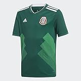 Mexico National Team 2018 World Cup Jersey Replica