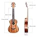 Mugig Glossy Ukulele 23