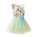 PanDaDa Baby Girls Floral Tulle Tutu Dress Princess Bowknot Vest One Piece