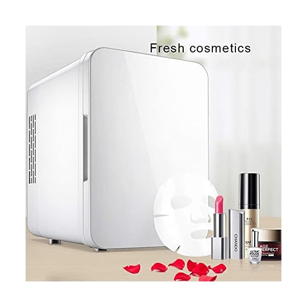 YANJ Portable Mini Fridge 12v 220v,Electric Cool Box Car refrigerator,CNC Display Hot And Cold Dual Energy Mute Design LOLDF1