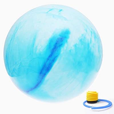 Swiss Ball Gym Ball Anti-Burst 65 cm Yoga Ball Fitness Ball ...