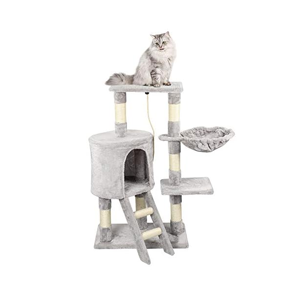 king cat tree
