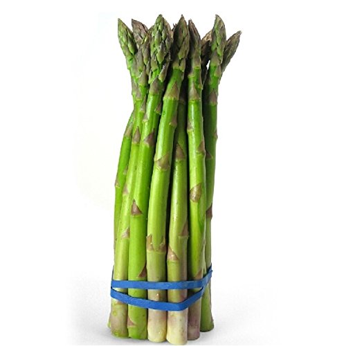 Asparagus seed - 20PCS Garden Vegetable Asparagus Officinalis Seeds by DOM - Asparagus seed