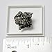 Small Hunk of Genuine Campo Del Cielo Iron Meteorite with Full Color Beverly Oaks LLC Certificate of Authenticity Info Card
