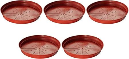 Antier Plate Planter Tray 6 inch Terracotta (Set of 5 Plant Container Set)