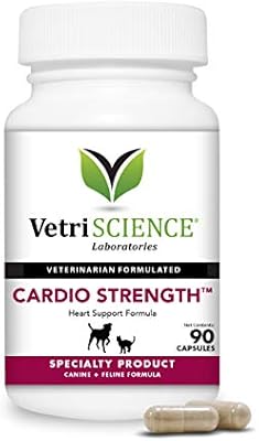 miniature schnauzer items