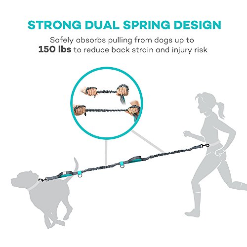 TAOTRONICS Retractable Hands Free Dog Leash with Dual Bungees for up to