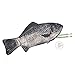 Rudmox Emulation Fish Shape Creative Pencil Case Pen Bag Coin Purse Phone Bag with Simulated Lining Inside Padded Thick Foam