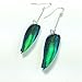 Elegant natural beetle insect wings blue green earrings