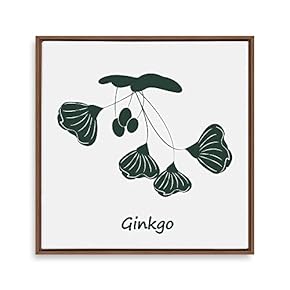 Framed Canvas Wall Art for Living Room, Bedroom Nordic Style Plants Theme Canvas Prints for Home Decoration Ready to Hang - 16x16 inches
