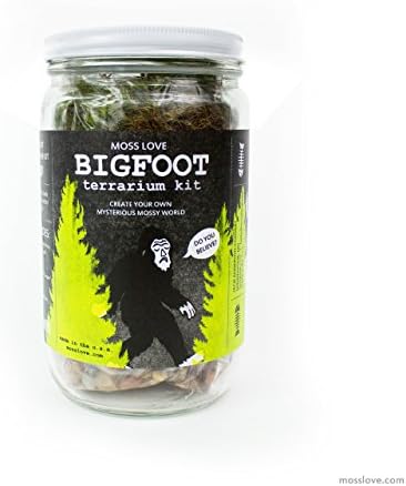 * Bigfoot * DIY Moss Terrarium Kit - popular unique fun gift or project! Reg $42