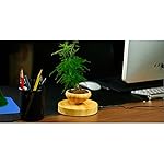 Magnetic Levitation Air Bonsai