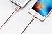 [Apple MFi Certified] Zendure 3.3 ft 39 inch (100 cm 1 Meter) Nylon Braided USB Charge/Sync Cable with Lightning Connector for iPhone 6/6 Plus, iPad Air 2 and More (Rose Gold)