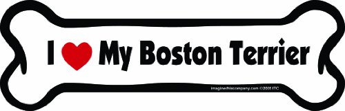i love boston terriers
