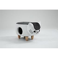 Home 2 Office Cat Condo Pet House