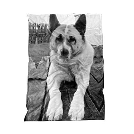 Fotodecke mit Eigenem Foto Tiermotiv Decke Kuscheldecke Tagesdecke