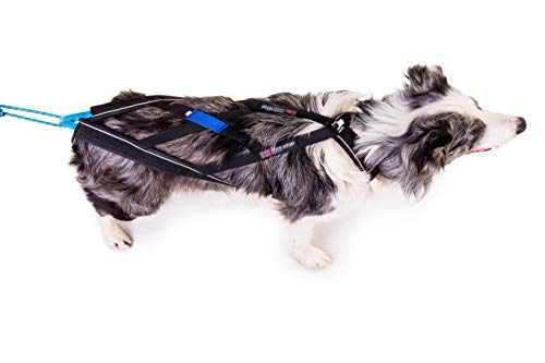 Non-stop dogwear X Back Harness for Pulling, Sledding, Canicross, Bikejoring & Mushing (6) - Thumbnail 4