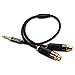 iXCC Premium Gold-Plated 3.5mm Male to 2 RCA Female Stereo Audio Y Adapter Extension Cable (1ft)