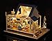 Rylai 3D Puzzles Miniature Dollhouse DIY Kit Light Caribbean Sea Series Dolls Houses Accessories with Furniture LED Music Box