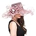 Saferin Lady Tea party Kentucky Derby Church Wedding Dress Church Hat Bridal Shower (SF4-Dark Pink)