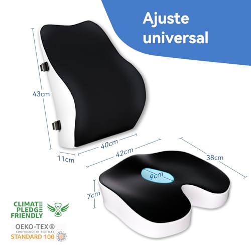 Travel Ease Memory Foam Seat Cushion and Lumbar Pillow Set, Ergonomic Comfort for Office Chair, Car, Home and Travel, Back and Butt Support, Black